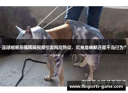足球明星恶搞踢猫视频引发网友热议，究竟是幽默还是不当行为？